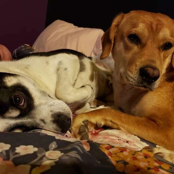 Meet your Posher, Taylor - Picture 1 of 1